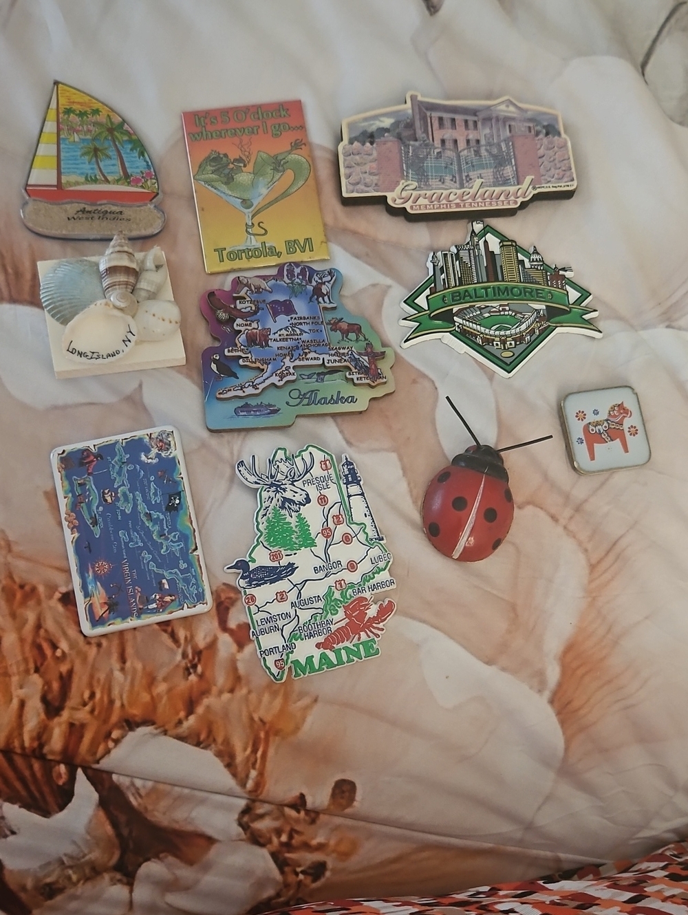Bundle Magnets 10 Piece Set From Our Travels Good For Teachers